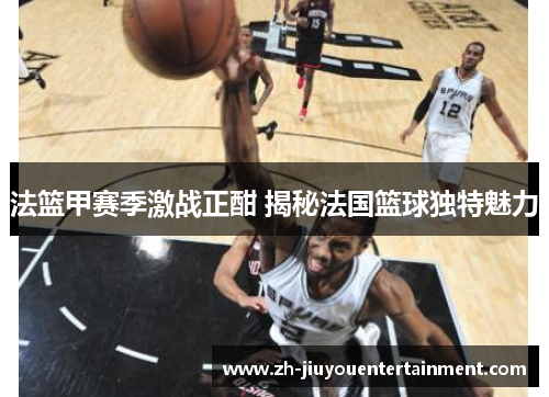 法篮甲赛季激战正酣 揭秘法国篮球独特魅力